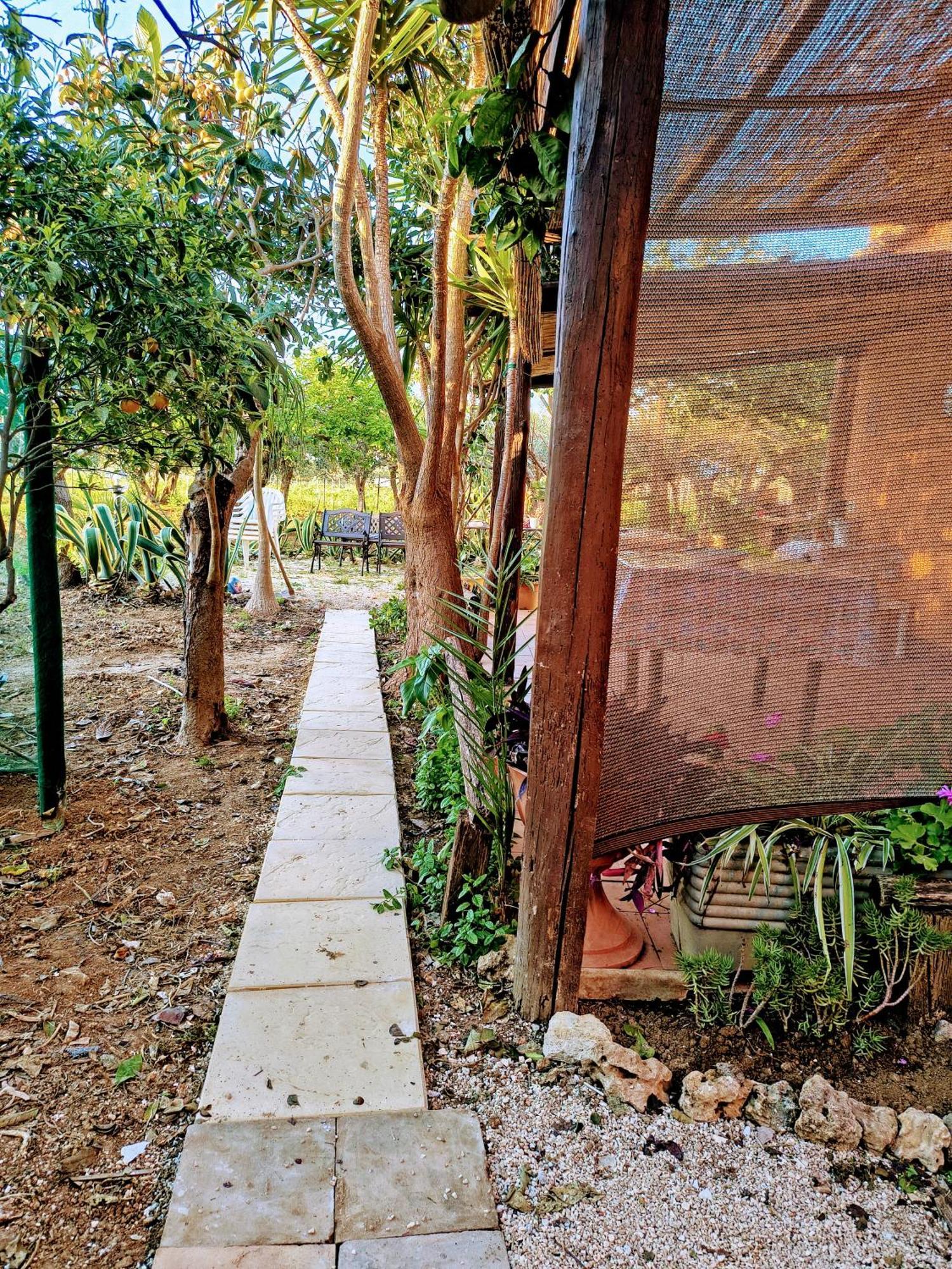 טרפאני Appartamenti Fior Di Loto מראה חיצוני תמונה